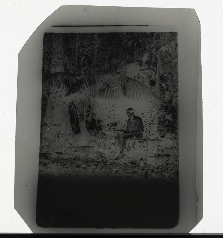 Image of Black and white negative of expedition member sitting under trees, reading a book