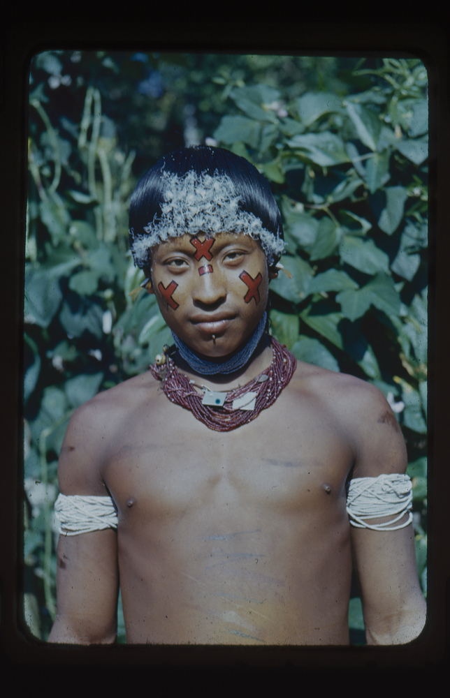 Image of Colour slide of Wai Wai tribe member with intricate facial paint and hair ornamentation