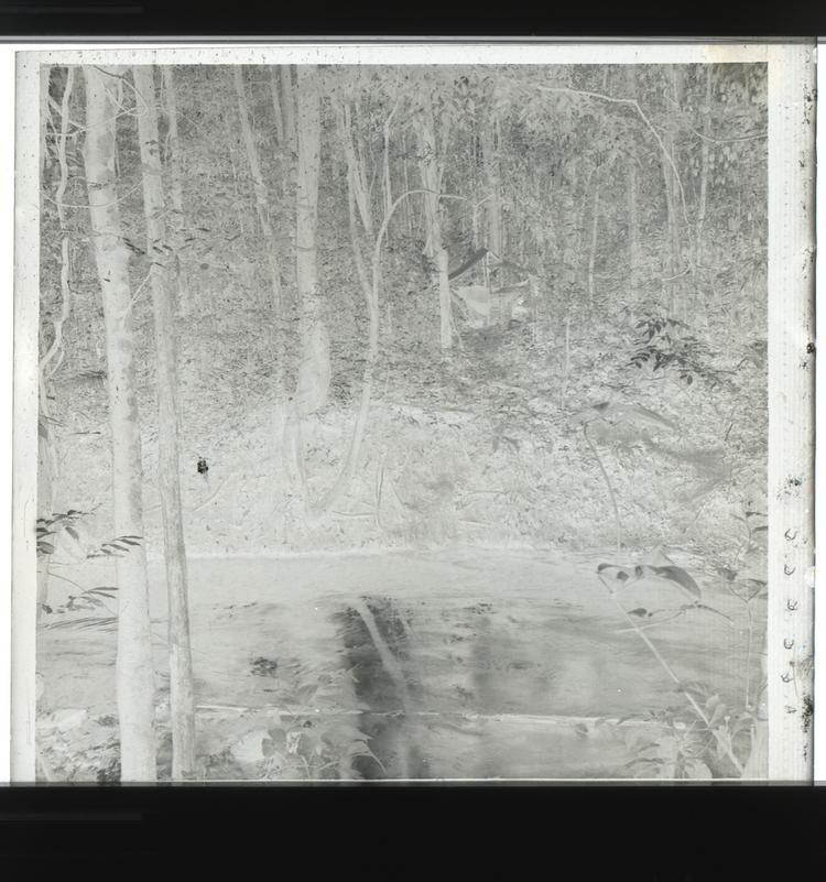 Image of Black and white negative of tent seen among forest across a river