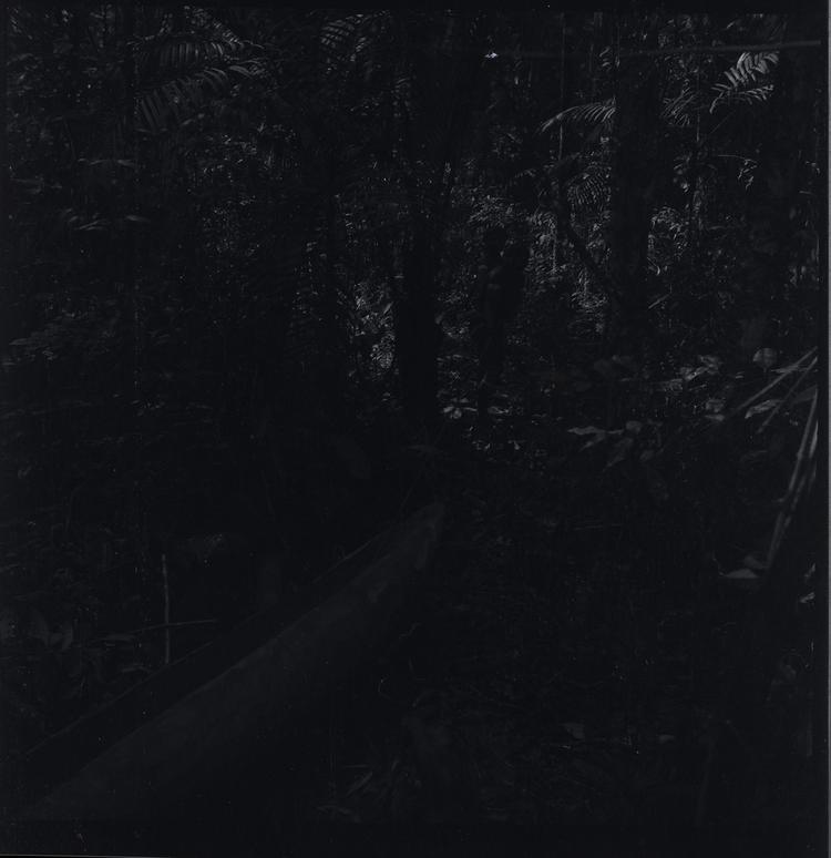 image of Black and white negative of a canoe in a clearing