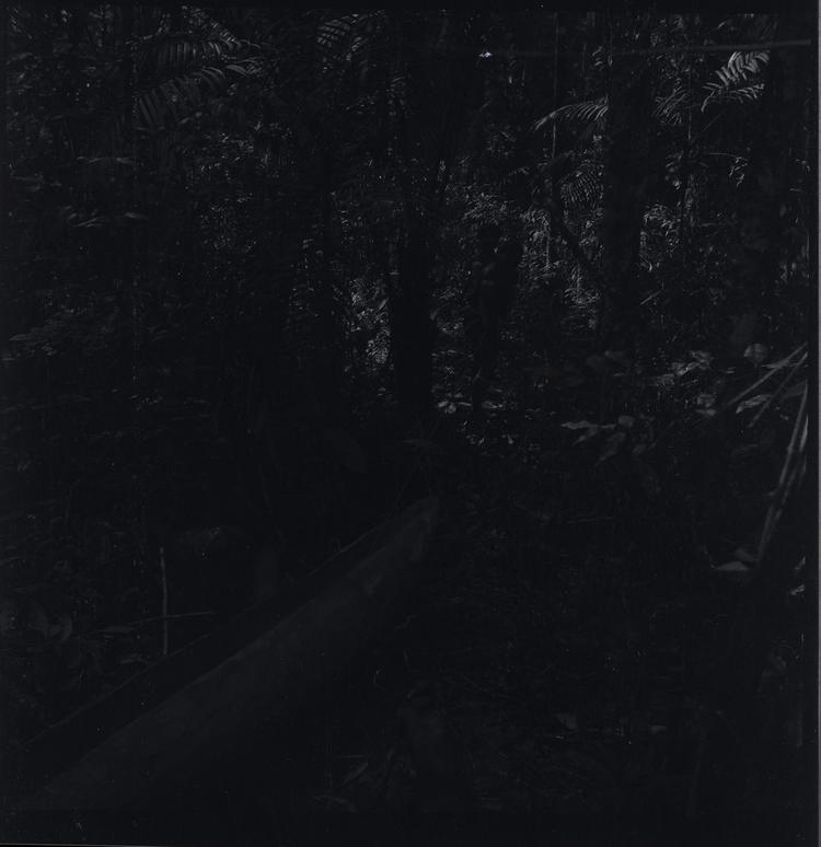 Image of Black and white negative of a canoe in a clearing