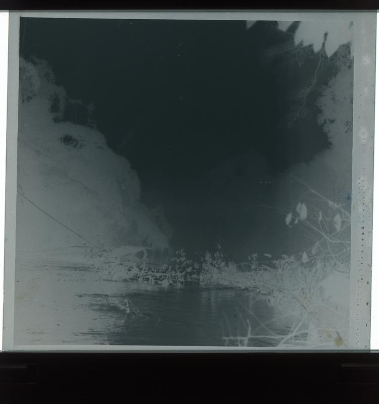 Image of Black and white negative of mist and branches on water with trees lining border