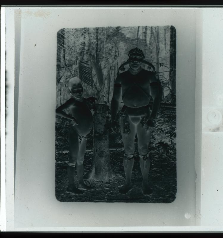 image of Black and white negative of one adult Wai Wai with one child and one puppy