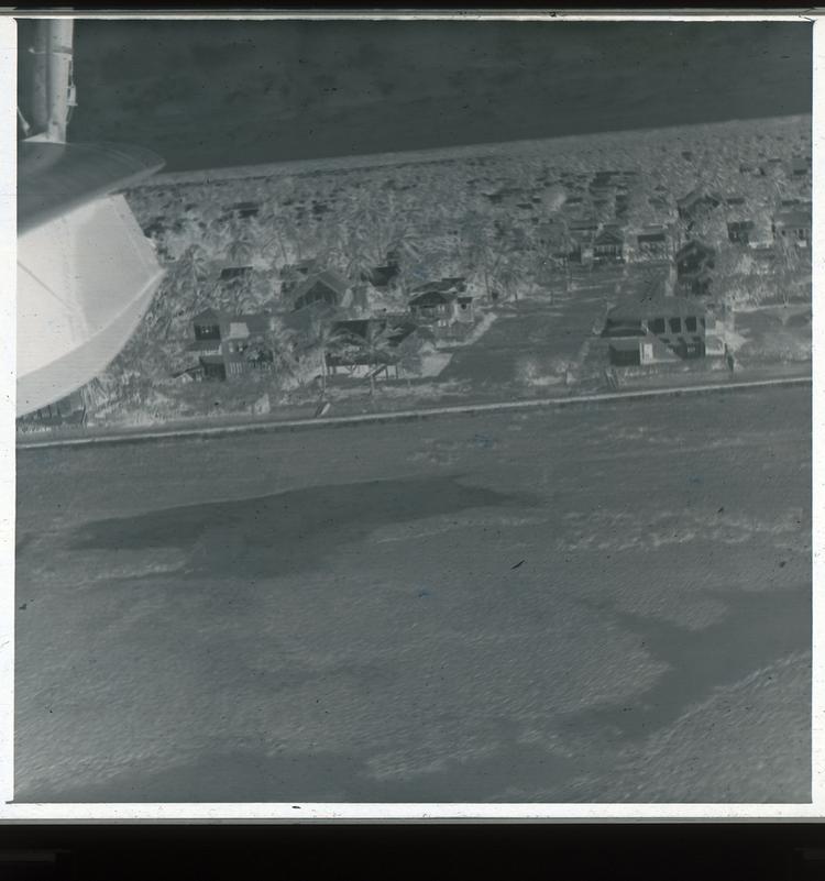 Image of Black and white negative view of town from a plane with wing in frame with many palm trees