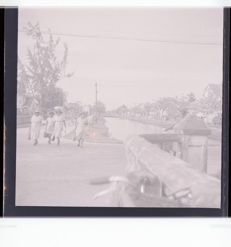 image of Black and white negative view of four women walking along canal lined with trees and buildings