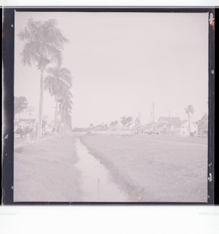 image of Black and white negative view of slender tree-lined canal with buildings on side