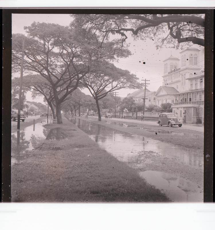 Image of Black and white negative view of flooded tree-lined canal/sidewalk with cars and buildings