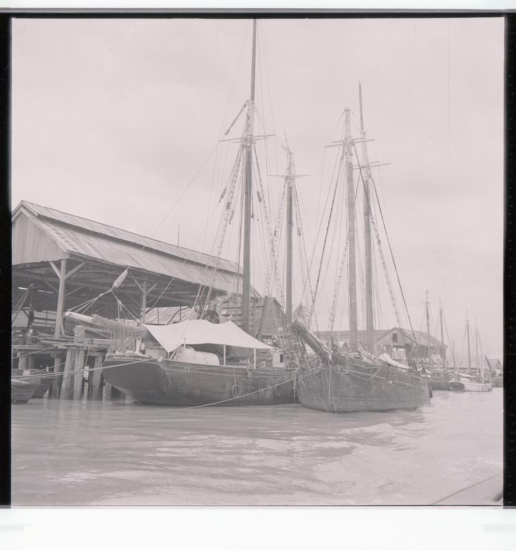 image of Black and white negative of boats with masts docked in port