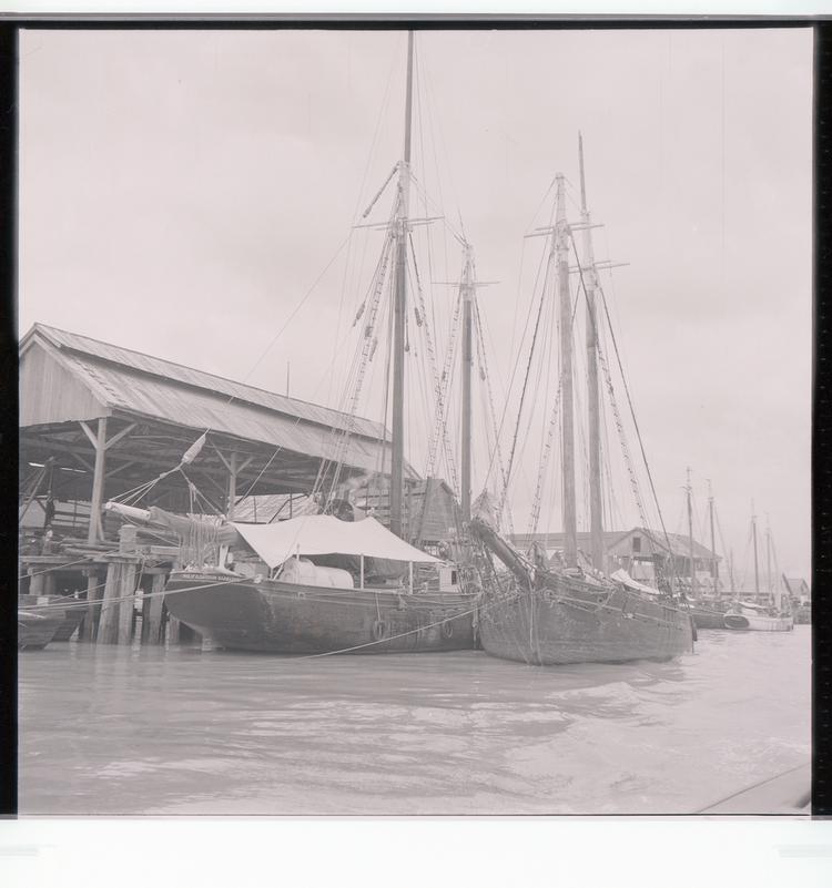 Image of Black and white negative of boats with masts docked in port