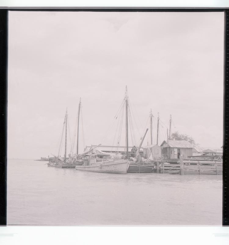 image of Black and white negative mid view of multiple boats with many masts docked