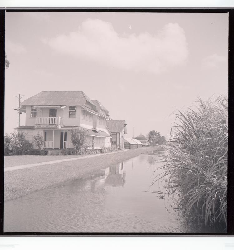 image of Black and white negative of 'Sugar Experiment Station' building along tree-lined canal