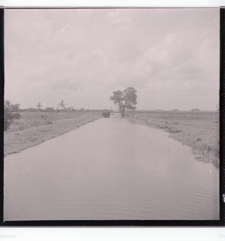 image of Black and white negative of canal with sparse trees and boats moored