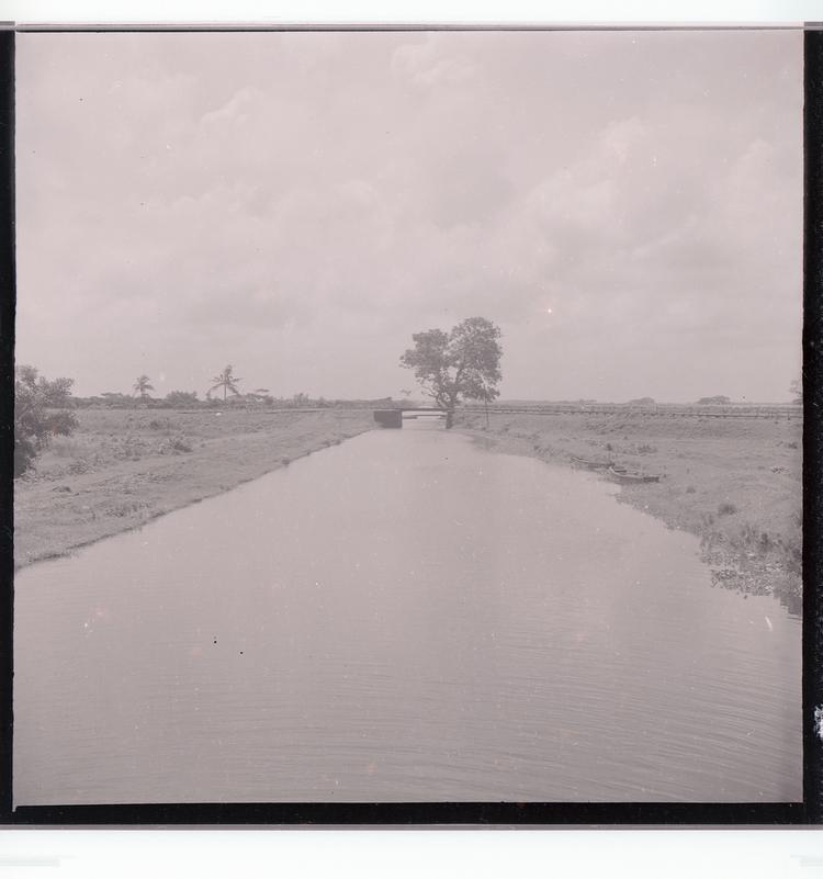 Image of Black and white negative of canal with sparse trees and boats moored