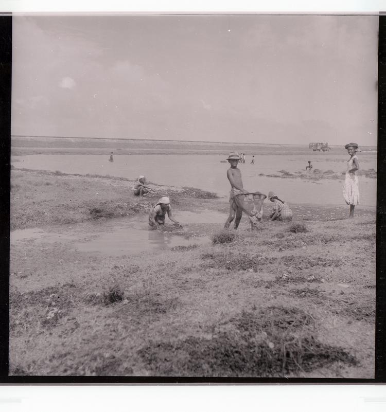image of Black and white negative of people fishing in shallows with baskets of inlet of water