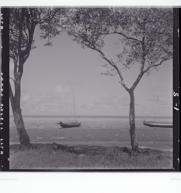 Image of Black and white negative of boats moored in shallow water, framed by two trees (looking out to water)