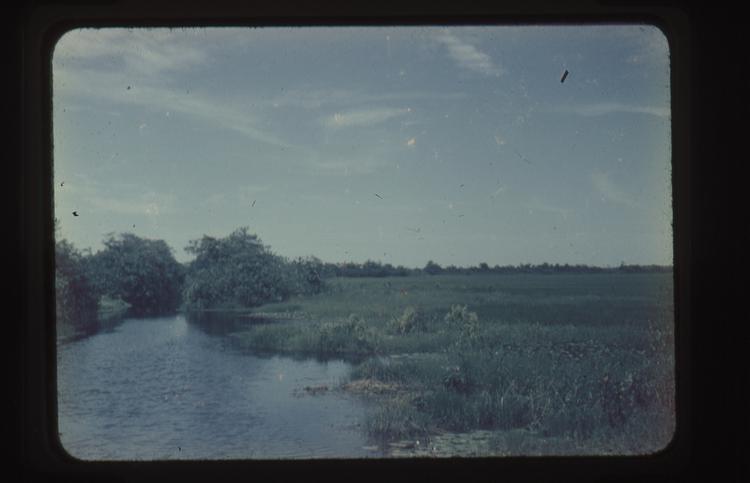 Image of Color 35mm positive film of wide view marshland with water winding through trees on the left