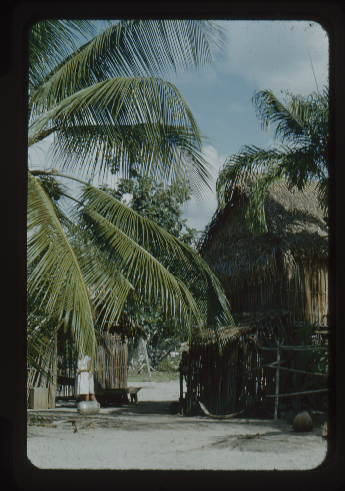 Image of Color 35mm positive film of woman in front of two reed/grass houses among palm trees