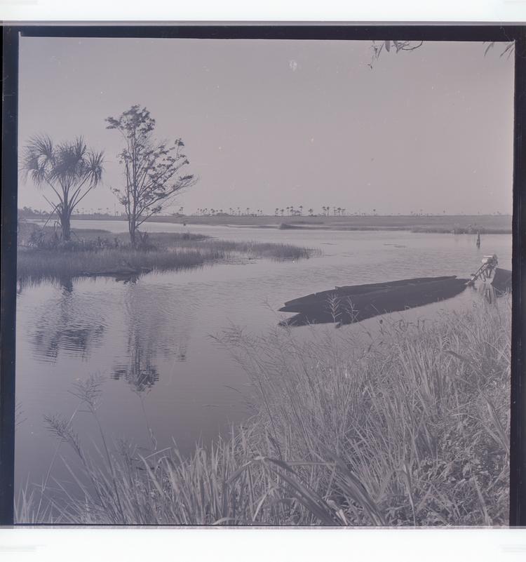 image of Black and white negative of trees on horizon with wetlands and small motorboats in foreground