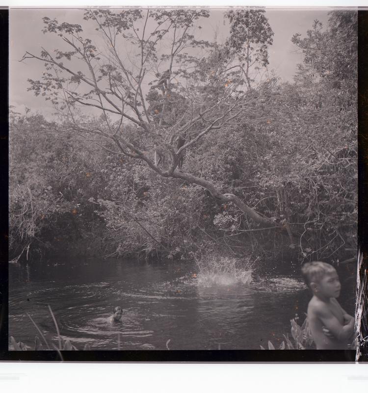 Image of Black and white negative of people swimming with large splash under large tree in water