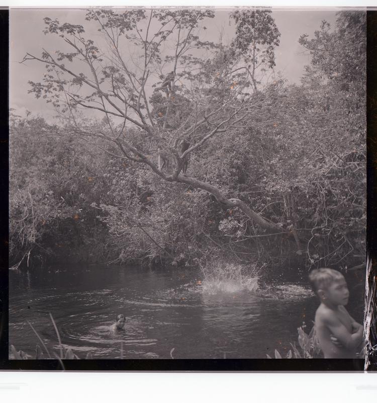 Image of Black and white negative of people swimming with large splash under large tree in water