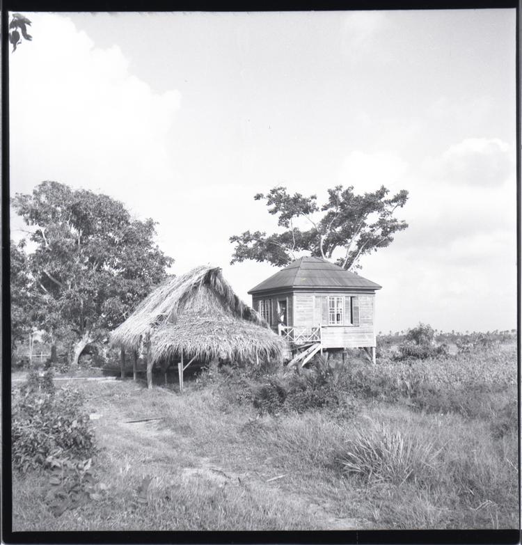 Image of Black and white medium format negative (scanned positive) two buildings one with a thatched roof the other raised on stilts