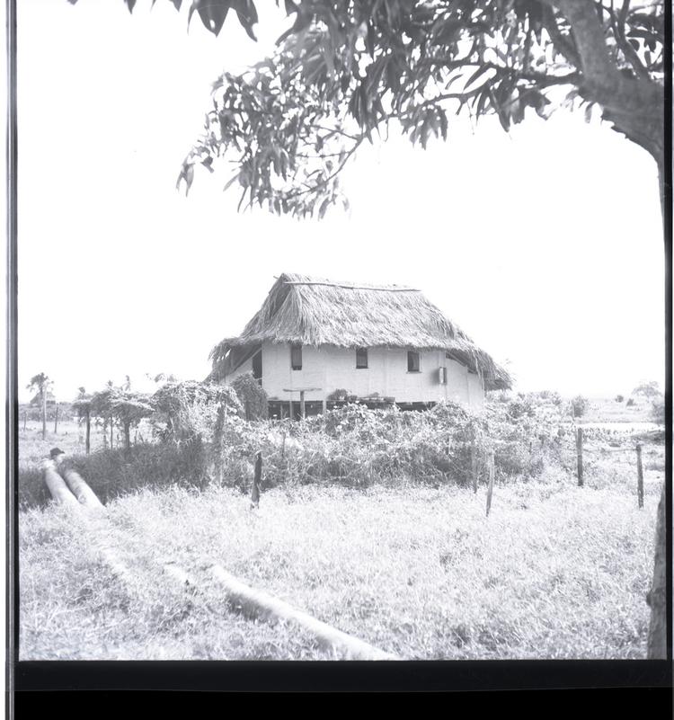 image of Black and white medium format negative (scanned positive) smart looking 2 storey thatched home