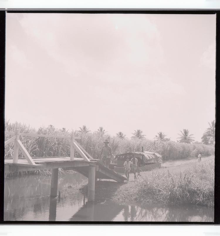 image of Black and white negative of palm tree-lined canal with boat and people walking up gangway