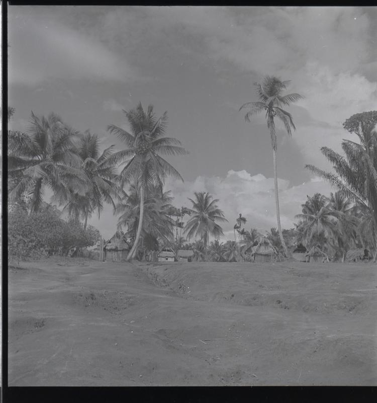 Image of Black and white medium format negative (scanned positive) of a settlement of thatched huts