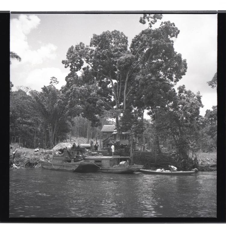 Image of Black and white negative of boats moored on tree-lined river next to settlement, loading/unloading boat