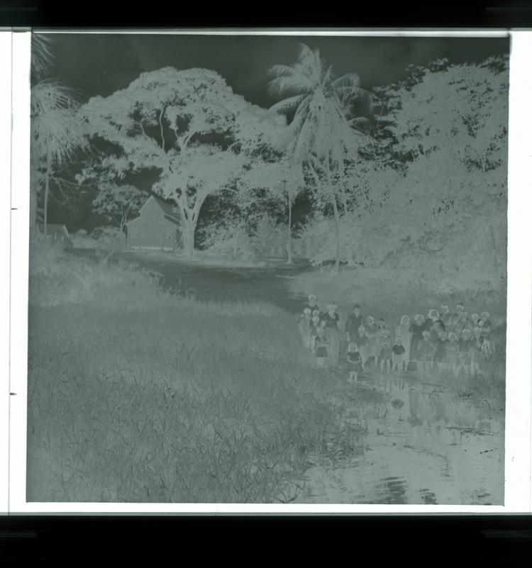 image of Black and white negative of large group of Guineans (range of ages) at water's edge among reeds with slightly stilted houses in background