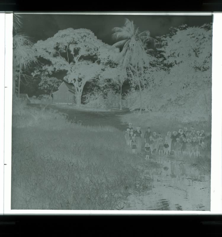 Image of Black and white negative of large group of Guineans (range of ages) at water's edge among reeds with slightly stilted houses in background