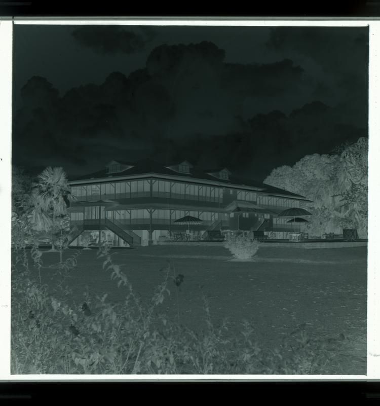 image of Black and white negative of large stilted house, mid view, of lawn with flowers