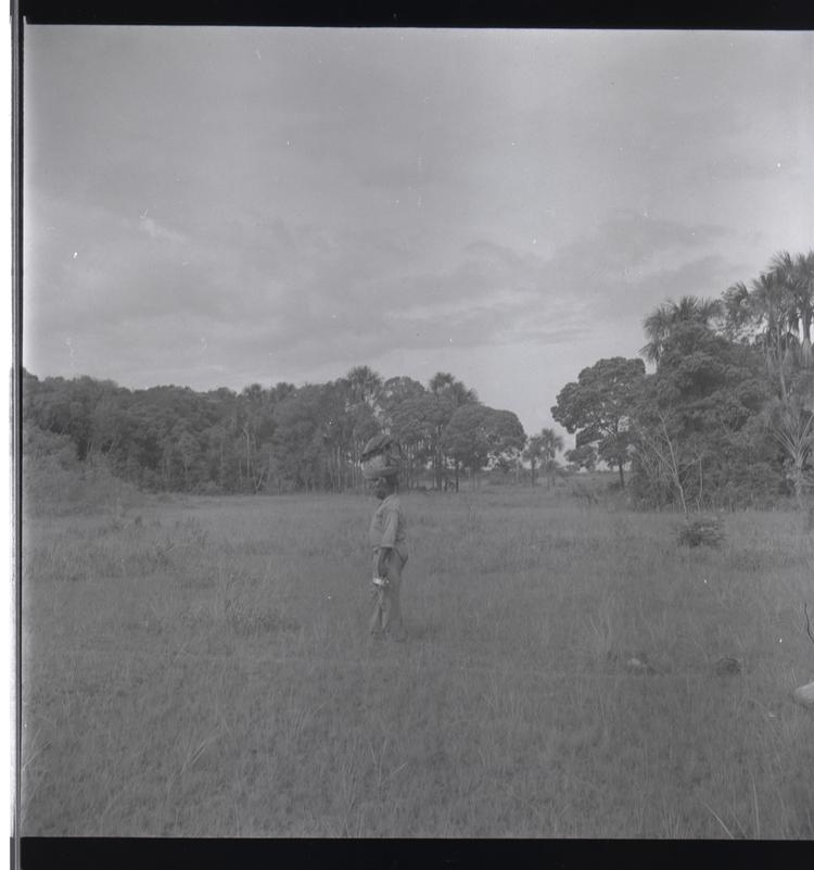 Image of Black and white medium format negative (scanned positive) of a man walking carrying things on his head