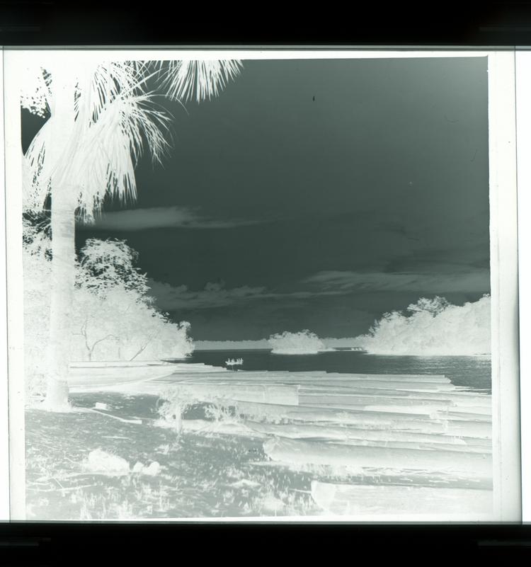 image of Black and white negative view of sunset on a beach, multiple logs on sand, boat full of people in distance