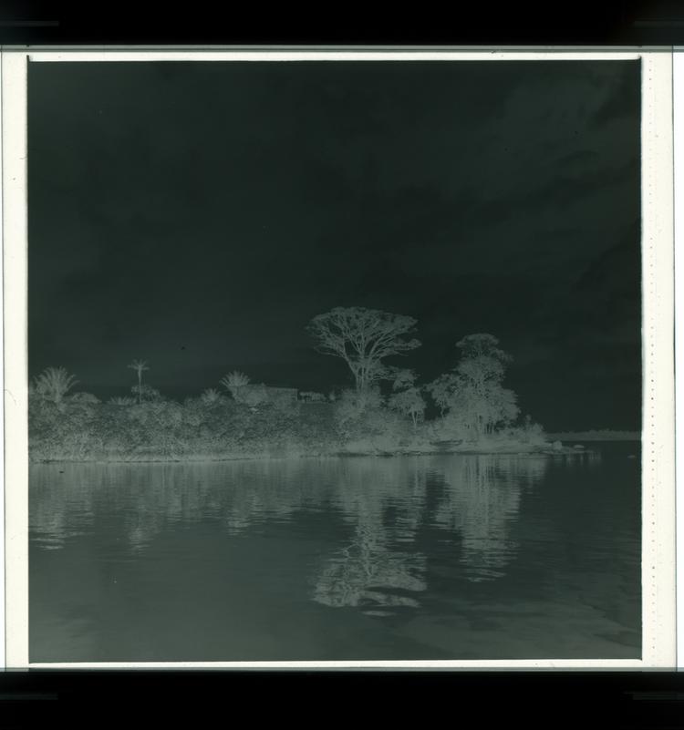 image of Black and white negative of coastal outcropping with stilted building and large trees, reflected in water