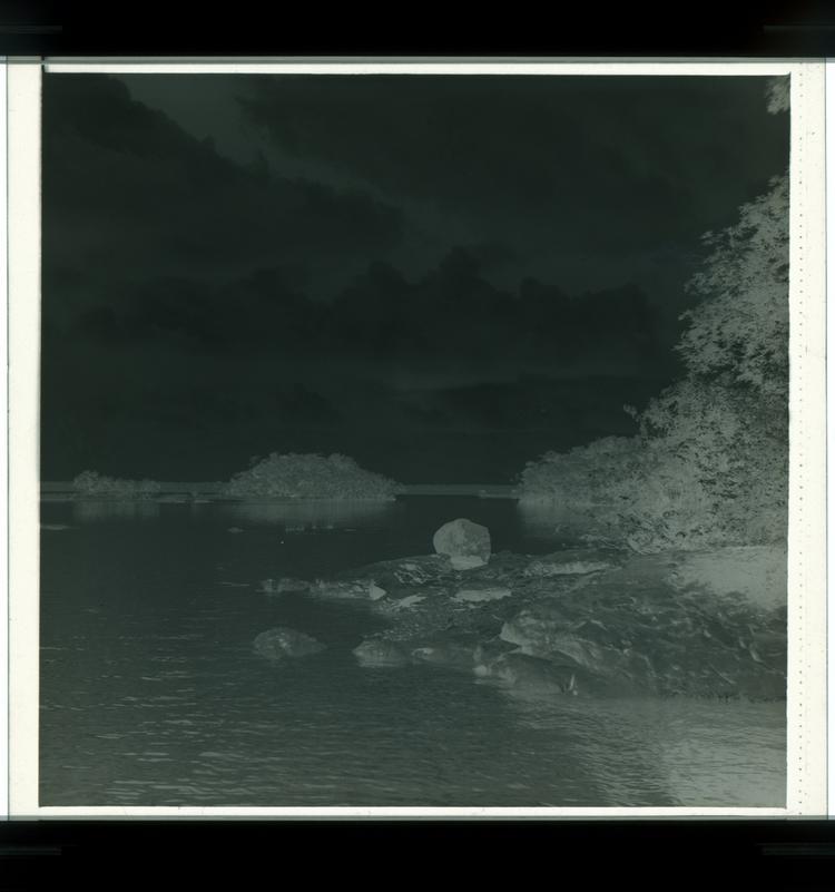 image of Black and white negative of rocky outcropping thick with trees