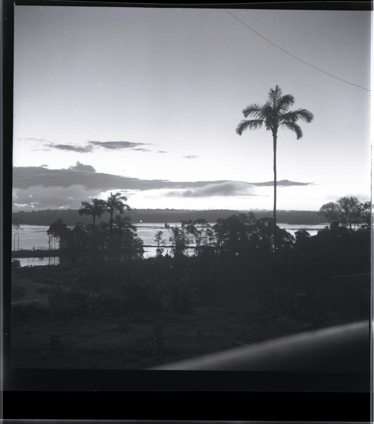 image of Black and white medium format negative of dawn with palm tree and river in background