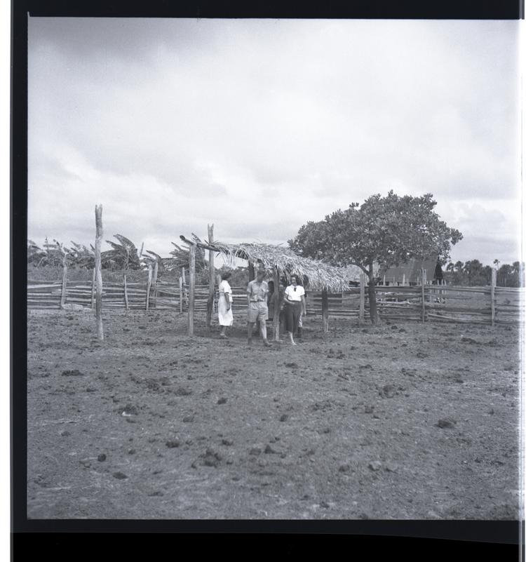 Image of Black and white medium format negative of several people including two women near a shade structure on  a farm