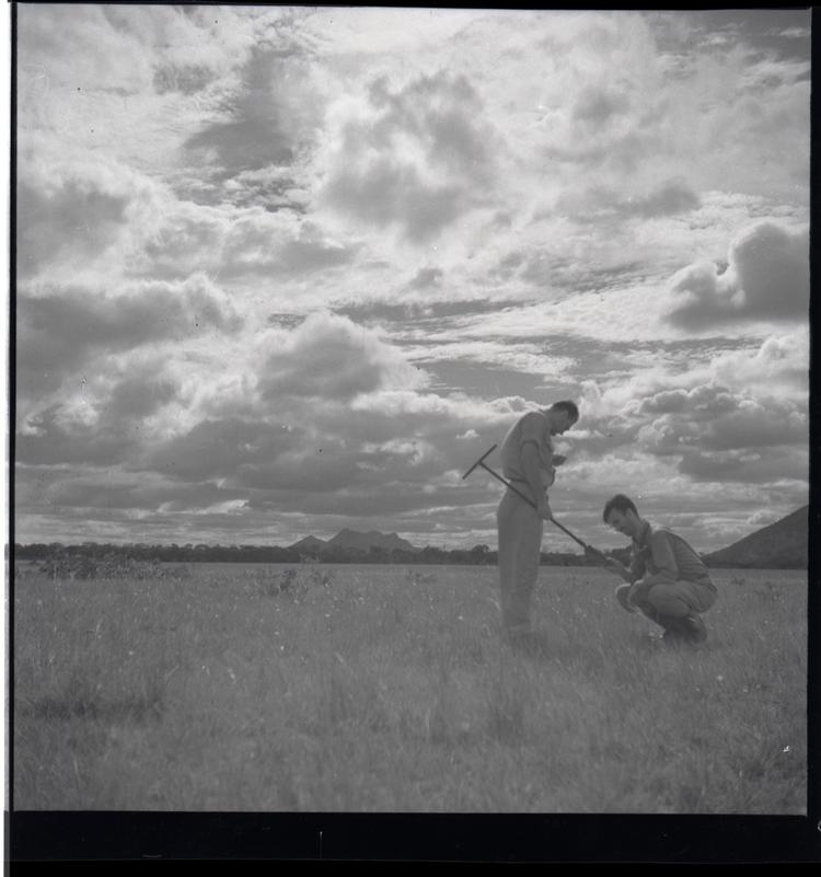 image of Black and white medium format negative of two men, one crouching , looking as if they are doing a surveying task