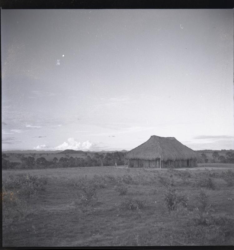 Image of Black and white medium format negative of large hut style building in flat landscape