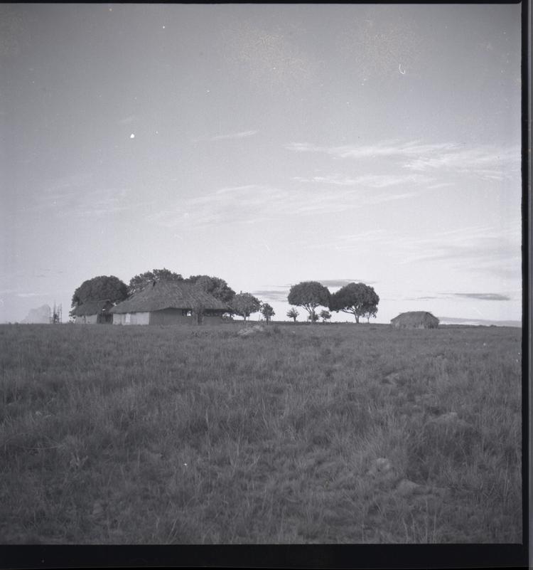 image of Black and white medium format negative of houses and trees outlined on skyline