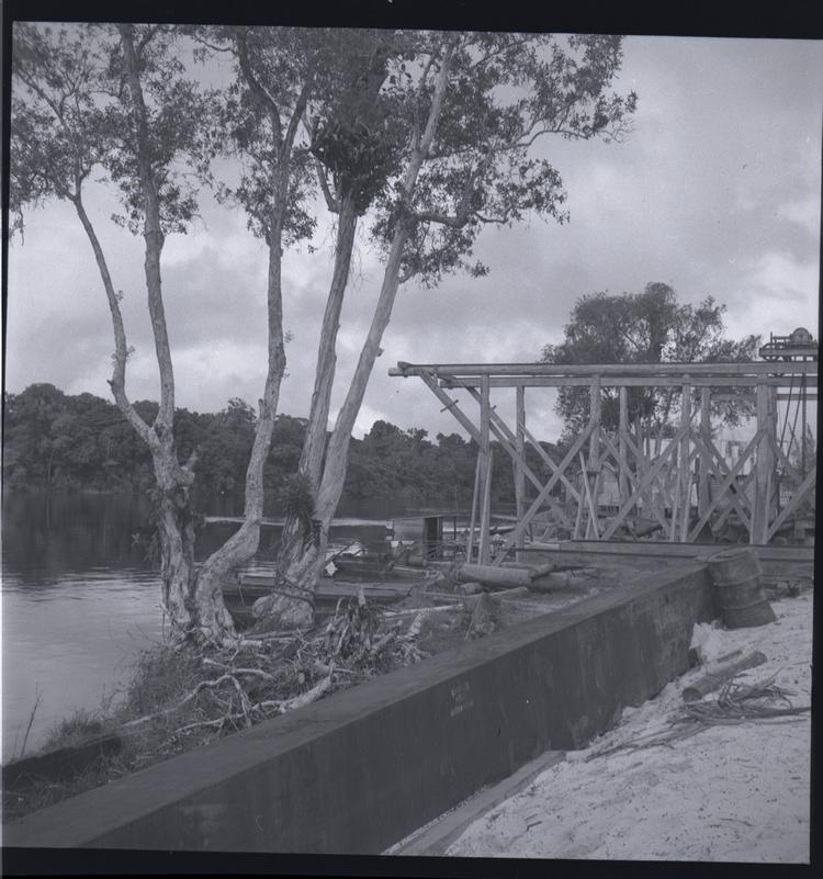 Black and white medium format negative of trees and wood structure next to river