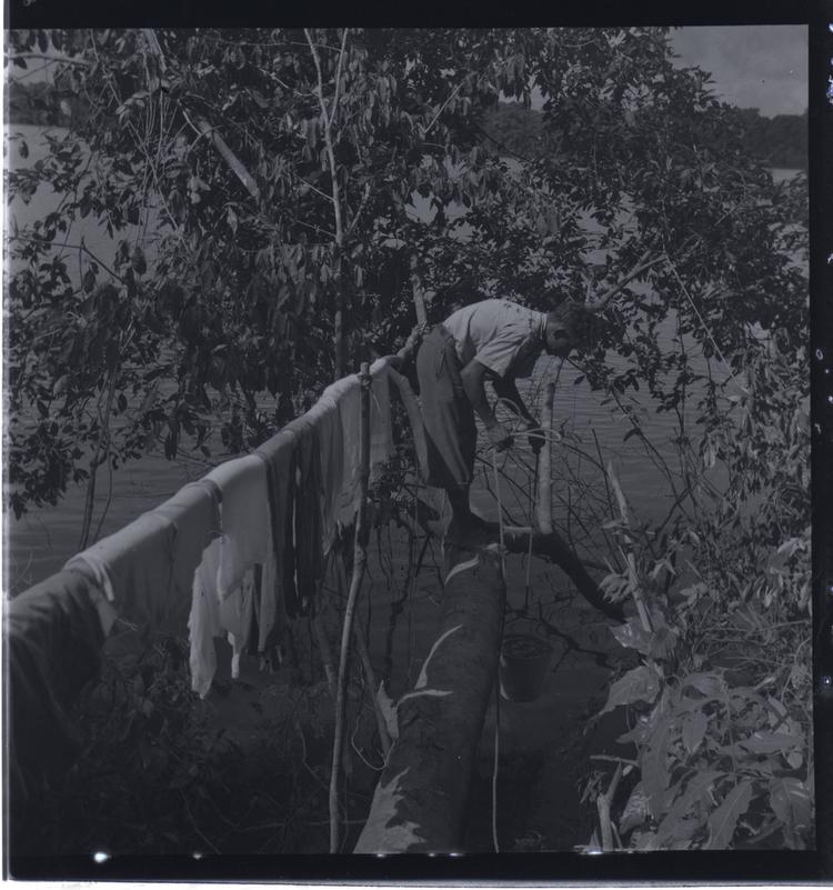 Black and white medium format negative of boy on a tree branch over water lowering a bucket with washed clothes on tree branches