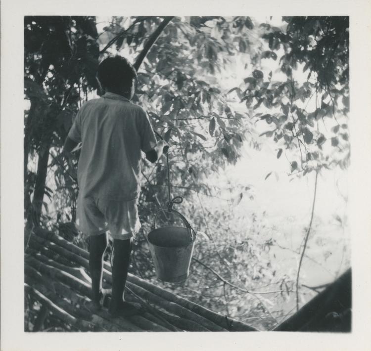 image of Black and white print of boy on branch platform in trees lowering a bucket