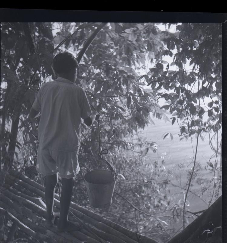 image of Black and white medium format negative of boy on branch platform in trees lowering a bucket