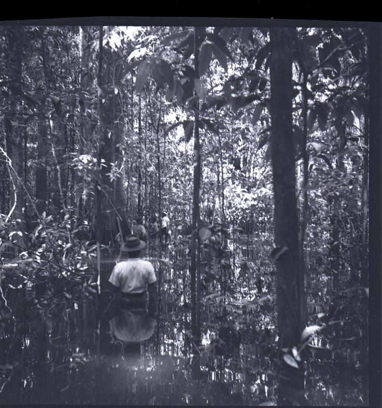 image of Black and white medium format negative of man standing in thigh high water in a forest