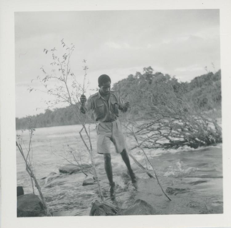 image of Black and white print of young man in shallow river holding slender branches
