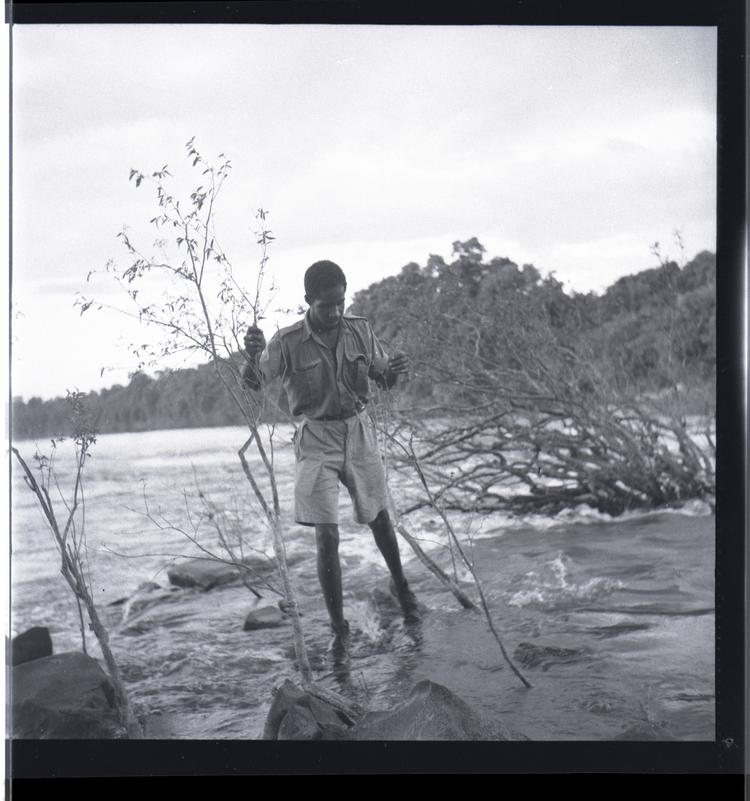 image of Black and white medium format negative of young man in shallow river holding slender branches