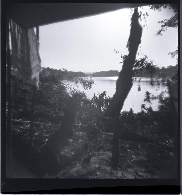 Image of Black and white medium format negative of river view framed by a roof and plants