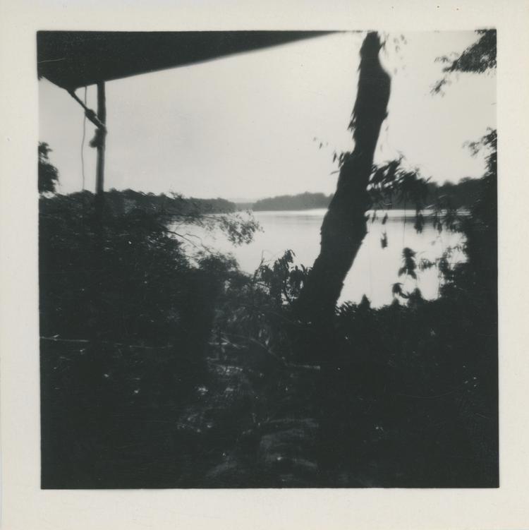 Image of Black and white print of a river view framed by a roof and plants